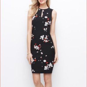 NWT Ann Taylor Floral Sheath Dress, size 8